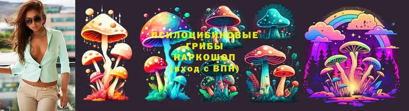 Псилоцибиновые грибы GOLDEN TEACHER  Баймак 